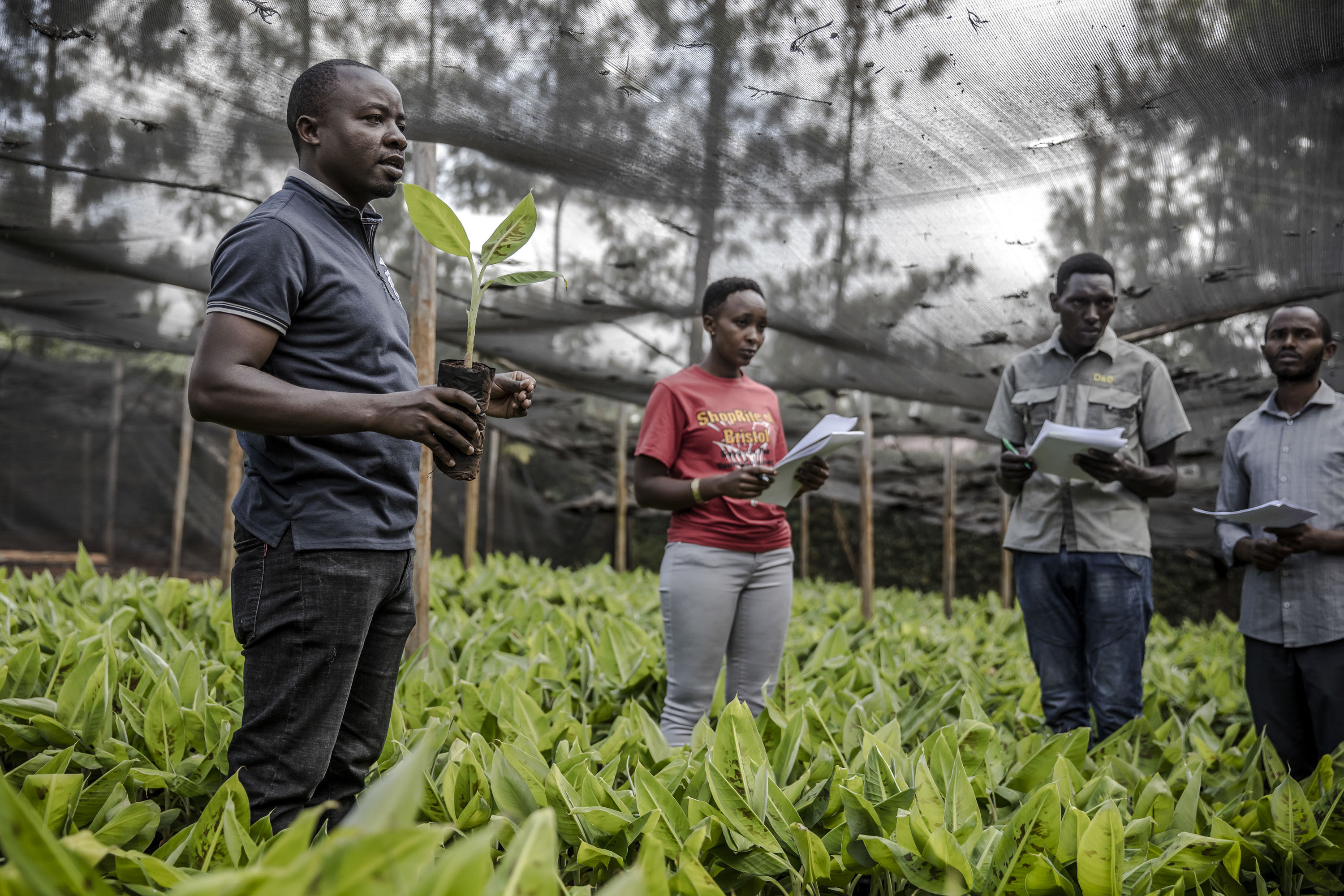 youth research in agriculture